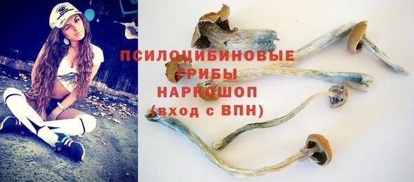 гидра Новокубанск