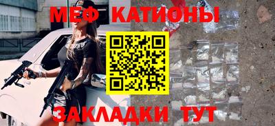 индика Гусев