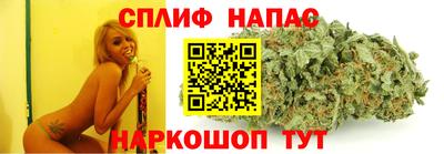гашик Гусь-Хрустальный