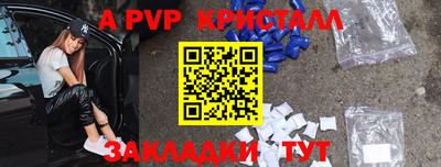 индика Гусев