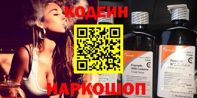индика Гусев