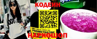 индика Гусев