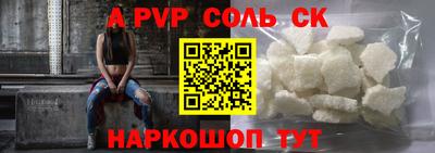индика Гусев