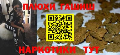 индика Гусев