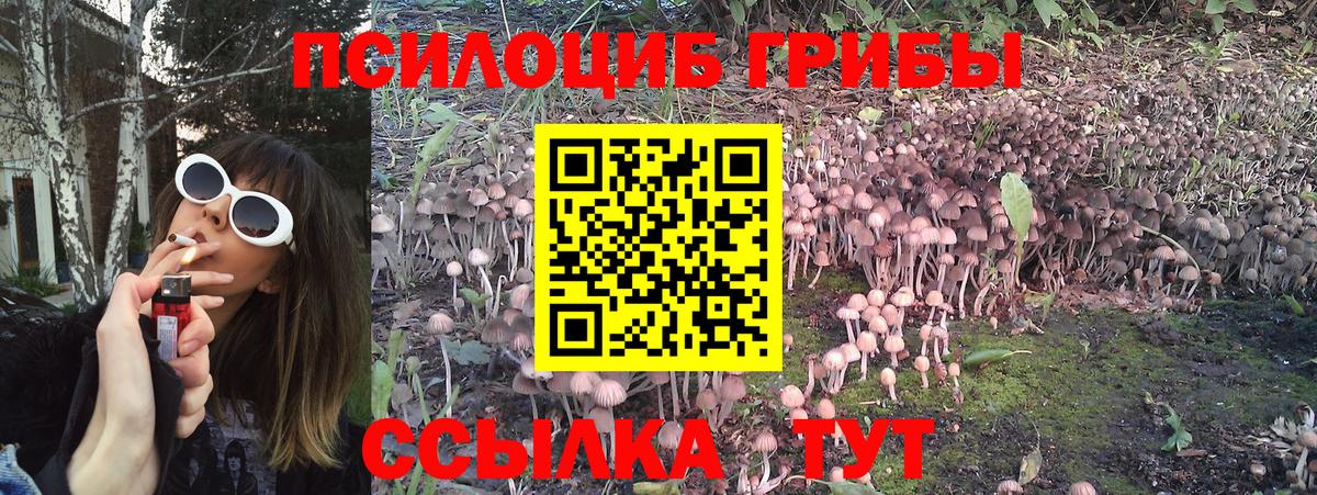 Галлюциногенные грибы GOLDEN TEACHER  Вход с VPN  Партизанск 